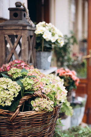 Basket of hydrangeas at outdoor flower stall on city street in natural light.の写真素材