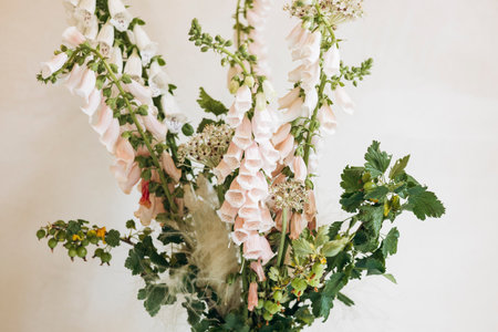 Minimalist floral arrangement with foxgloves in a vase on light table.の写真素材