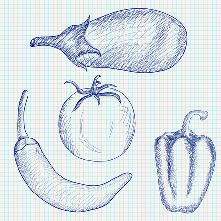 Vegetables on notebook grid. Hand drawing doodlesのイラスト素材