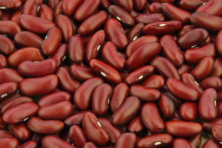Red beans backgroundの写真素材