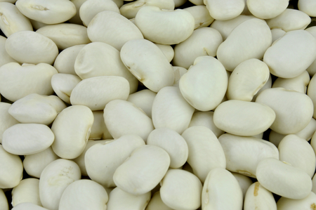 White large beans background