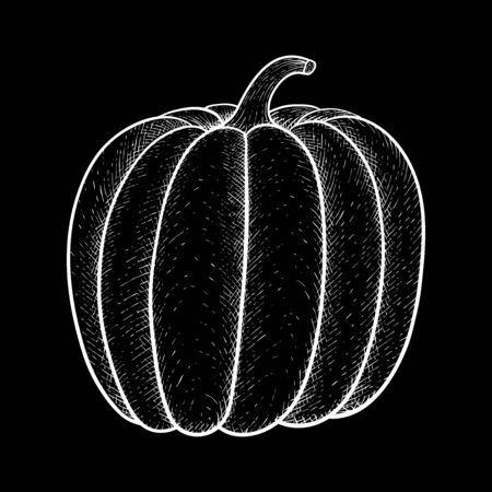 Pumpkin. White outline drawing on black backgroundのイラスト素材