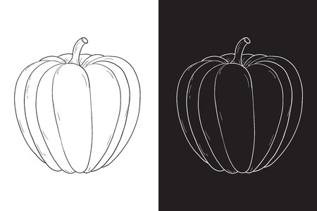 Pumpkin. Hand drawing sketch. On white and black background. Vector illustrationのイラスト素材