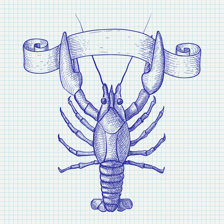 Lobster in Hand drawn sketchのイラスト素材