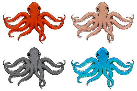 Octopus. Hand drawn colored sketchのイラスト素材