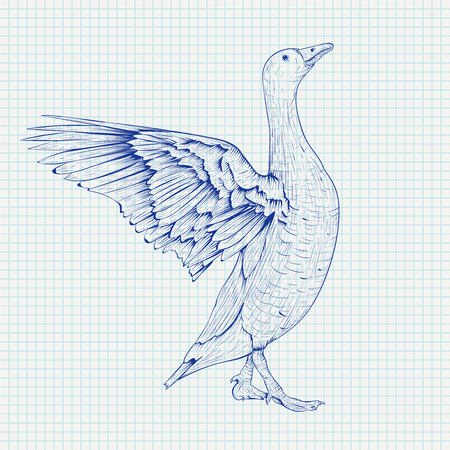 Goose sketch. Angry bird with lifted wings, on lined paper backgroundのイラスト素材