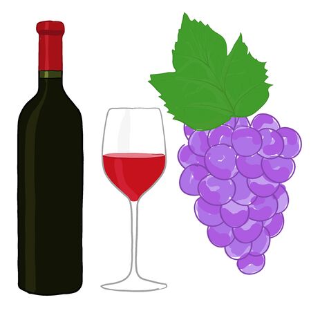 Bottle of red wine, glass and grape. Vector illustration isolated on white and black backgroundのイラスト素材