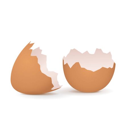 Broken egg shell