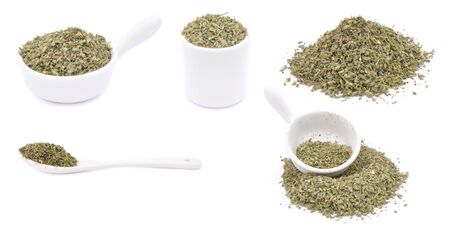 Tarragon dry herb. Collection isolated on white backgroundの写真素材