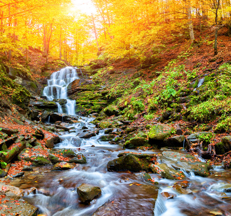 Autumn forest in the mountainsの写真素材