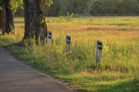 Stakes and a tree by the side of the roadの写真素材