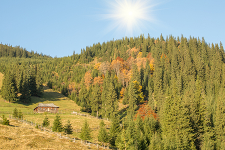 Autumn forest in the mountainsの写真素材