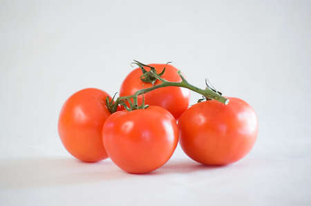 A bunch of red tomatoes against a white background.の写真素材