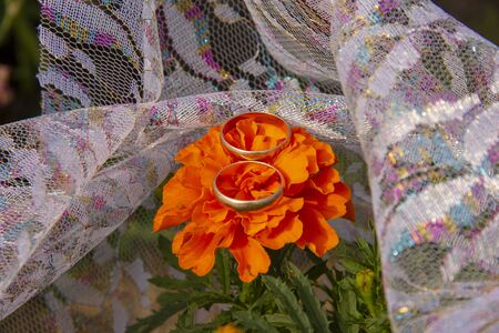 wedding rings lie on a grid. Wedding rings lie on marigold flowers. preparation for the wedding ceremony. preparation for invitation or greeting card.の写真素材