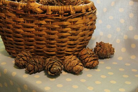 pine cones in a wicker basket on a blue background.の写真素材