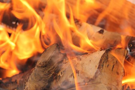 log in the flames. burning fire in the grill is large.