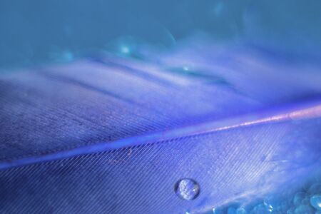 drops of water on the blue per, which lies on a shiny blue background .の写真素材