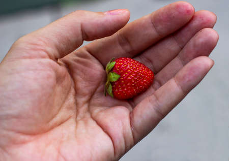 On the palm of your hand lies a small strawberry berry. hands in the juice of berries