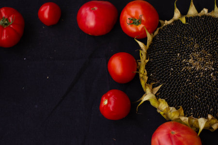 framed from red ripe tomato and sunflower. Place for text.