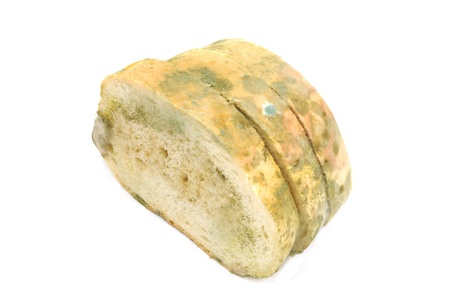 Slices of moulded bread isolated on whiteの写真素材