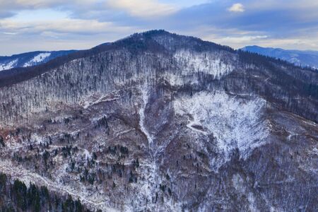 Drone view of the forest, winter landscape.の写真素材