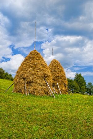 Haystacks on the hill, fresh green pasture in summerの写真素材