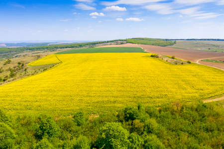 Aerial view of canola and cereal fields during the springの写真素材