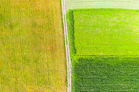 Farm fields and country road during summer viewed from above