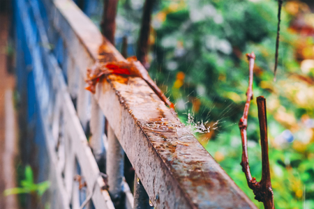 Rusty metal fence. Water droplets on the fences after the rain in the morning.の写真素材