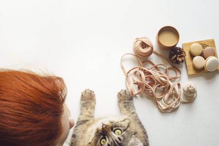Cat and woman drink coffee and unravel a tangle. Kitty looks up right to camera and young female with red hair drink latte with milk, eat macarons and knits yarn. Flat lay with copy spaceの写真素材