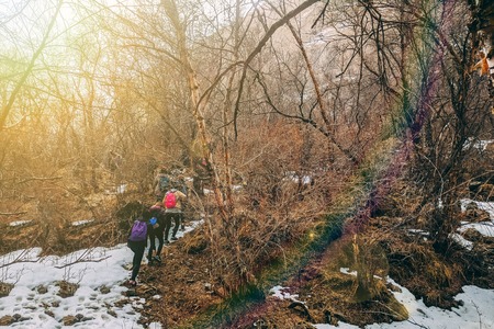 Group of tourists with large backpacks are on mountain. Group of hikers with backpack walking in forest. Travel and backpacking lifestyle conceptの写真素材