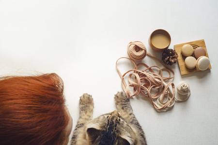 View of the table above where a cat and a female with red hair drink coffee and unravel a tangle, eat macarons and knits yarn. Sunny day. Flat lay with copy space for text.の写真素材