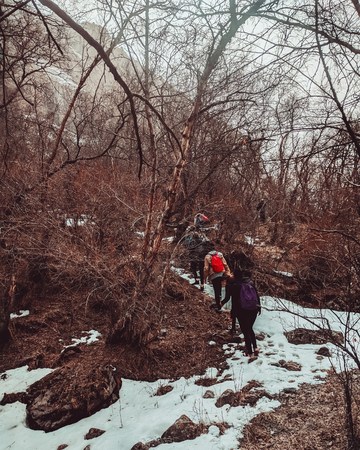 Group of tourists with large backpacks are on mountain. Group of Friends of hikers going up the mountain wood stream, overcoming obstacles.の写真素材