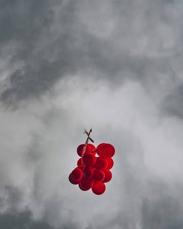 Bunch of red balloons on a blue sky with one balloon escaping to be individual and free - concept for following one.の写真素材