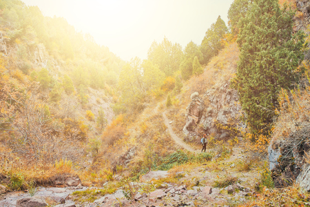 Woman hiker walking in mountains forest. The view of mountain ascent, in the distance a woman with a backpack goes along the path among the mountains.の写真素材