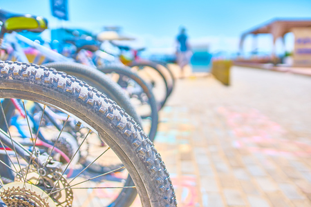 Parking spaces for bicycles with bikes on the ocean frontの写真素材