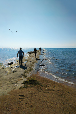Group of friends walking on the beach before sunset in Sunny weather and flying seagullsの写真素材