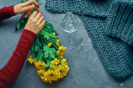 Woman cuts the yellow chrysanthemum flowers for a vase on an antique loft tableの写真素材
