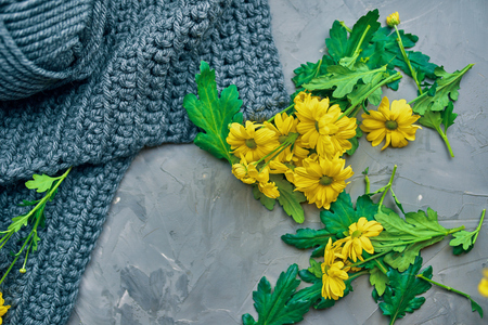 Prepare yellow chrysanthemum flowers with scissors and a transparent vase on the loft tableの写真素材