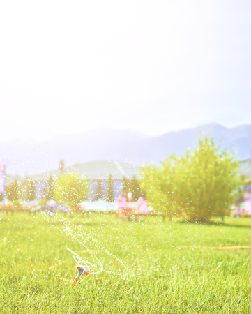 Green field with sprinkler. Sprinkler spraying water over green grass, automatic lawn-watering system sprinkling water on a bright summer day in the cottage yard.の写真素材