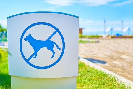 Dog prohibition sign. Dogs Not Allowed Forbidden blue Sign Beach Outdoors.の写真素材
