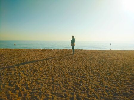 Woman standing on the beach next to a lot of seagulls at sunsetの写真素材
