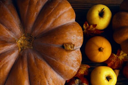 A bunch of pumpkins and apples. A bunch of pumpkins on black wooden rustic table over dark concrete background. With copy space. Vintage retro style. Selective focusの写真素材