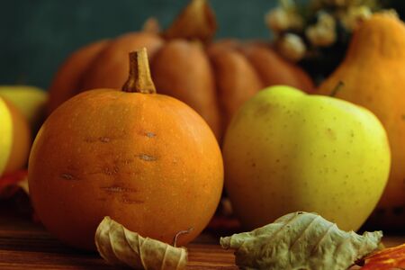 A bunch of pumpkins and apples. Autumn Pumpkin Thanksgiving Background - orange pumpkins over wooden tableの写真素材