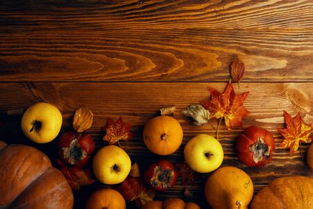 A bunch of pumpkins and apples. Autumn Pumpkin Thanksgiving Background - orange pumpkins over wooden tableの写真素材