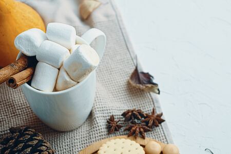 Pumpkin With Cups Of Coffee. Hot cacao coffee chocolate with marshmallows mug pumpkins on tray. Concept fall cozy warm home comfort morning natural lightの写真素材