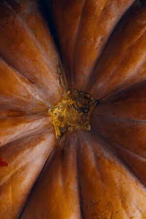 A bunch of pumpkins. Orange pumpkins on wood flat lay free space. Fresh squashes on wooden table, country autumn background. Seasonal, harvest, fall, organic food, dieting, healthy food conceptの写真素材