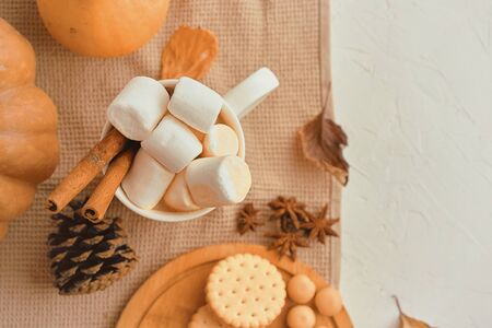 Pumpkin With Cups Of Coffee. Autumn still life from pumpkin, pine cones, mug of cocoa, coffee or hot chocolate with marshmallow on warm plaid with garland. Concept of cozy winter home environmentの写真素材