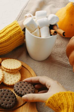 Woman in a warm knitted sweater drinks cocoa with milk and chocolate in a mug with cookies, sitting next to pumpkins. Hot drink in a cup. Autumn season. Warm homely atmosphere. Cozy houseの写真素材