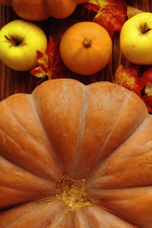 A pair of yellow and red pumpkins on a wooden table. Autumn harvest products, a piece of pumpkinの写真素材